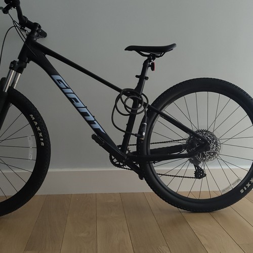 Giant 29in hardtail - giant, mountain