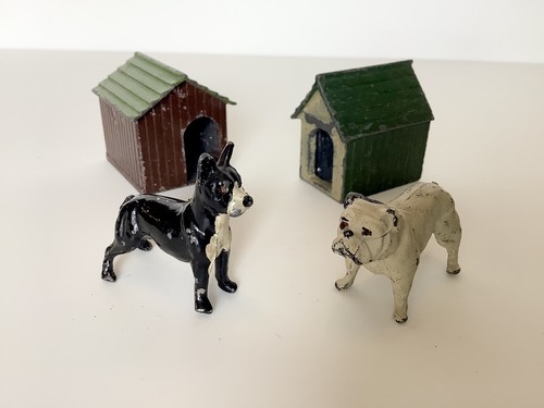 Timpo lead boston terrier - terrier, and