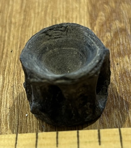 Eocene fish vertebra fossil - vertebra,