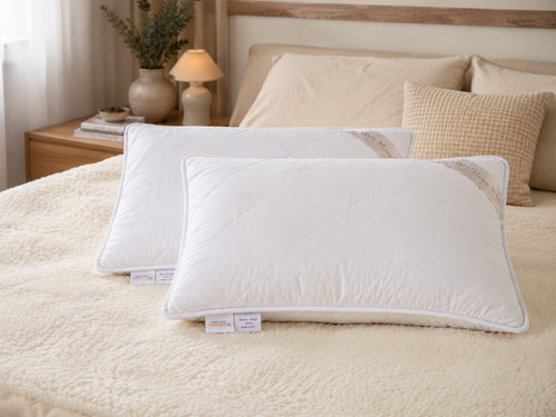 Pack standard bed pillow - standard,