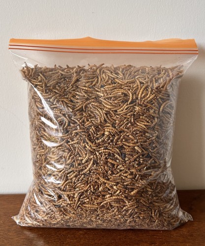 000 grown dried - uk,