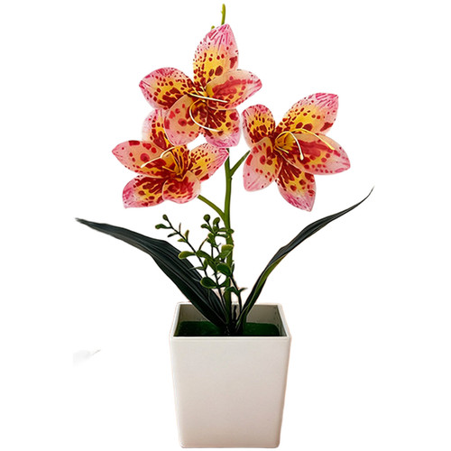 29 cm realistic - 7.5,