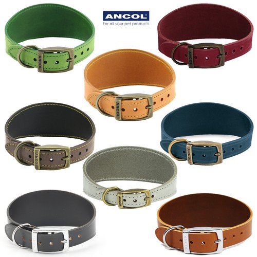 Dog collar whippet greyhound - dog,