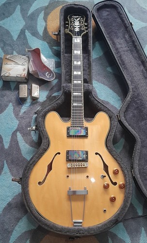 Mint epiphone sheraton - 97,