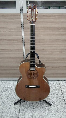 Aria 250r electric acoustic - aria,