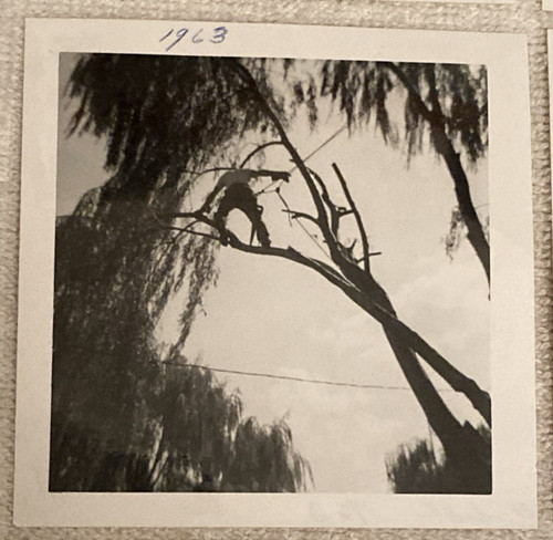 1963 levittown huge - levittown,,