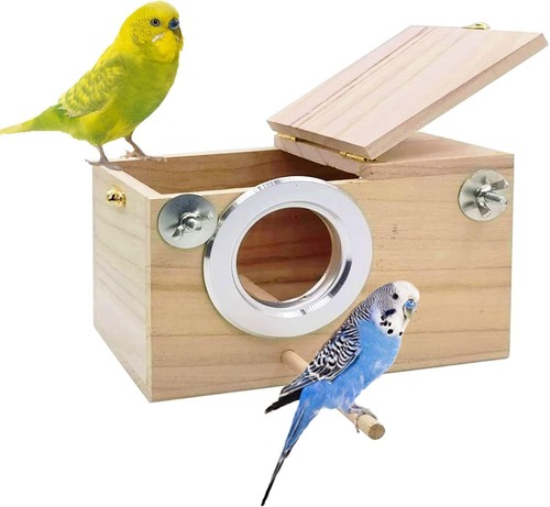 Parakeet box budgie - parakeet,