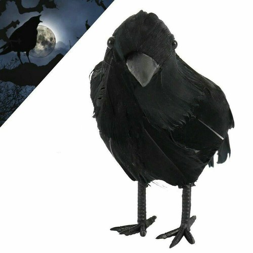 Halloween stuffed feather crow - feather,