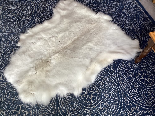 Reindeer hide pelt beautiful - reindeer,
