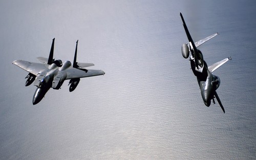 Airplane eagle jet - airplane, 15