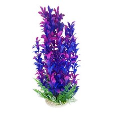 Purple Aquarium Plant with