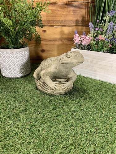 Stone garden frog toad rock - on,