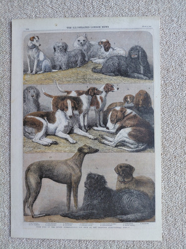 1864 illustrated london news - 1864,