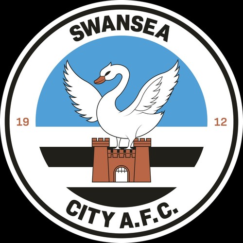Stunning swansea city fc - swansea,
