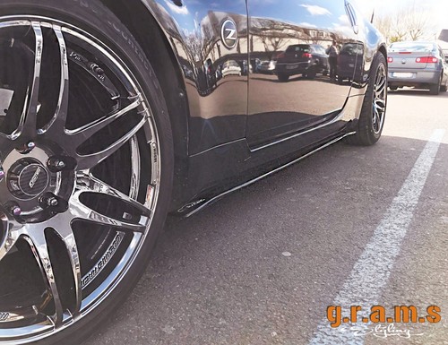 Carbon side steps skirt - /,