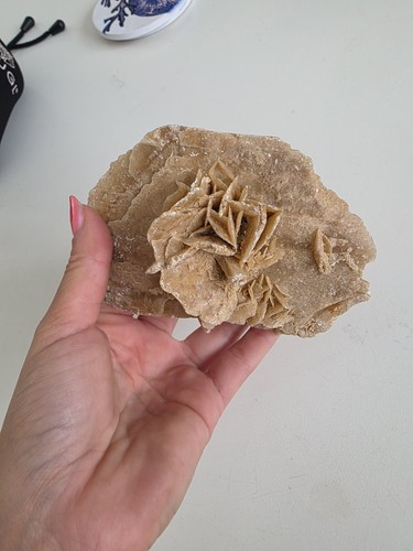 Desert rose also known - desert,