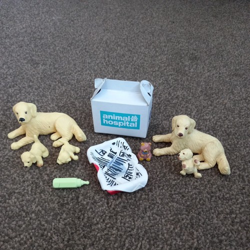 Rspca animal hospital puppy - puppy, in