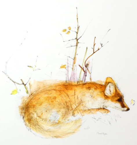 Mads stage wildlife fox print - stage,