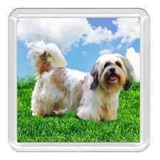 LHASA APSO Dog Acrylic Coaster