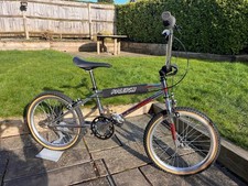 Raleigh burner 35th - raleigh,