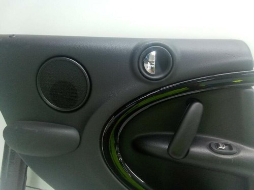 Rear door trim - trim, mini