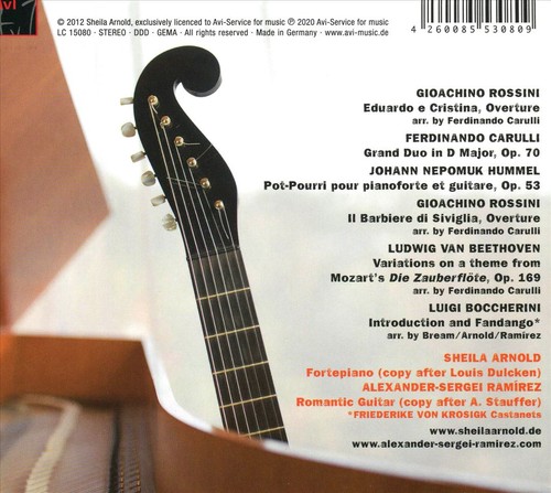 Guitar - guitar, &