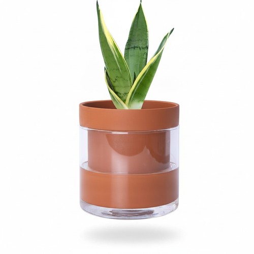 Self watering inch - self, 6