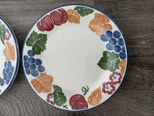 Staffordshire tableware - staffordshire,