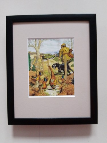 Loon cartoon pheasant shooting - cartoon,