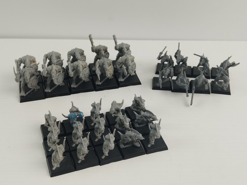 33x lizardmen skink - 33x,