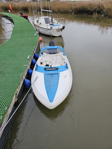 Disney water mause - disney, mause,