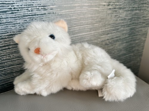 Animal alley cat - alley,
