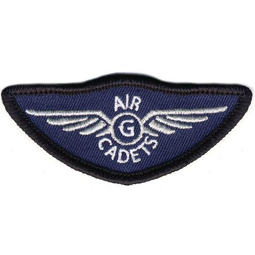 Sgs silver wings badge - silver,