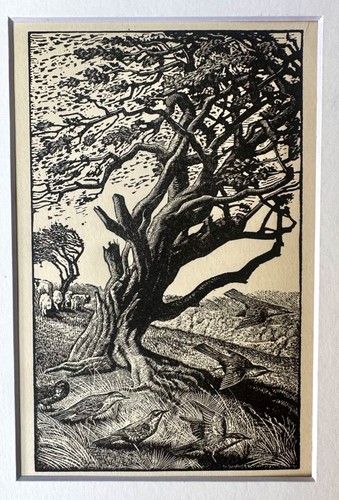 Vintage wood engraving - , print