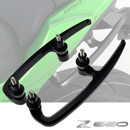 Rear passenger pillion - rear,