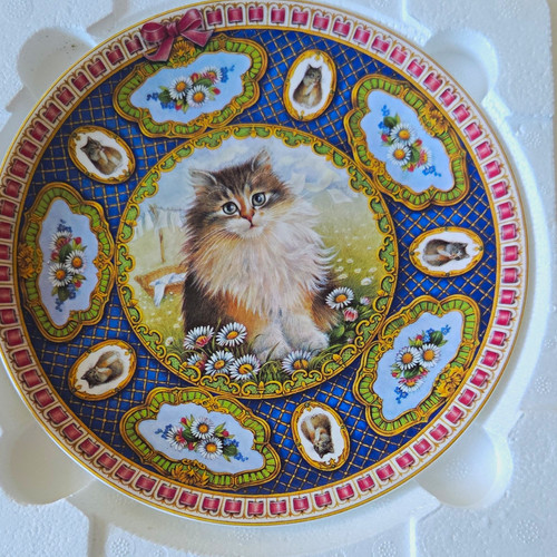 Danbury mint kittens - danbury,
