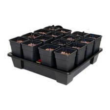 Atami Wilma Origin  XXL 16 Pot Hydroponic System IWS Nutriculture Dripper Tank