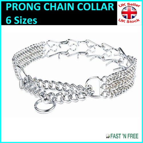Dog prong collar - prong, chrome