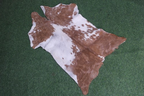 New goat hide - goat, area