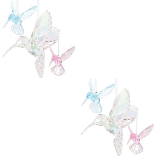 Pack hummingbird wall - pack,
