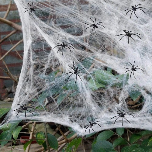 Halloween stretchy spider - halloween,