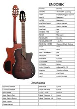 Guitar By Tanglewood, Model