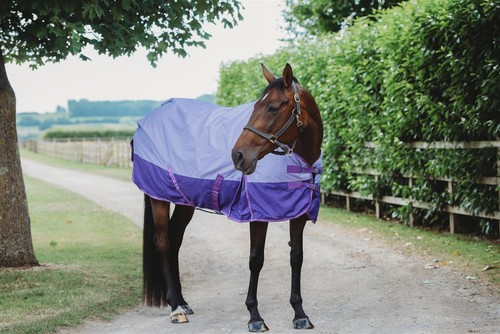 600d lightweight turnout horse - turnout,
