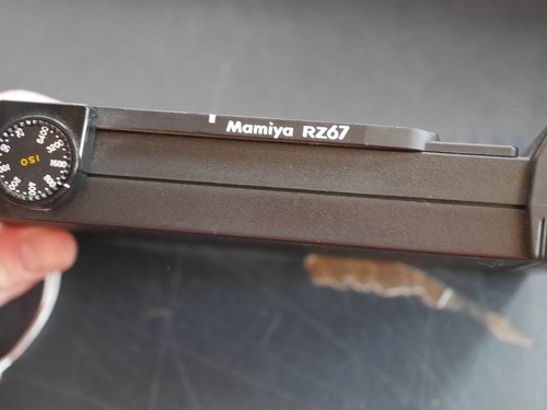 Mamiya rz67 polaroid film back - polaroid,