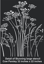 stencil cow parsley large