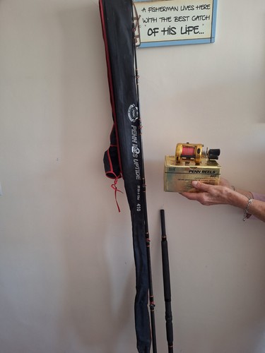 Penn 410 uptide rod and - 410, 9'-6''