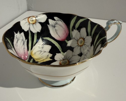 Vintage paragon narcissus - vintage,