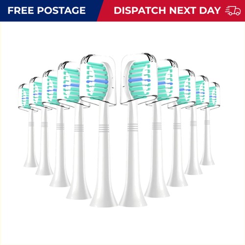 Pack replacement toothbrush - 10-pack,