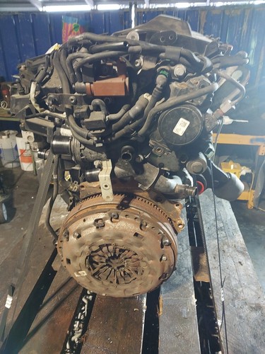 Engine ford focus mk3 c346 - engine,