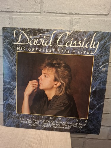 David cassidy his greatest - -,